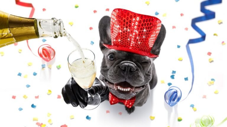 Egy boldog francia bulldog ünnepi kalapban pezsgőt tart a kezében, színes konfetti körülötte.