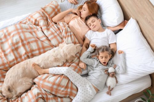 Egy család pihen az ágyban, kutyájukkal együtt, nyugodt és boldog pillanatban.
