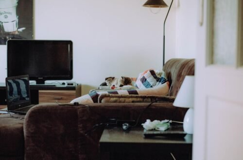 Egy kényelmes nappali, ahol egy kutya pihen a kanapén, takaró alatt.